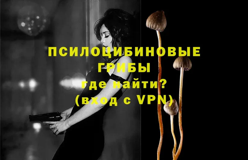 Галлюциногенные грибы Psilocybe  сколько стоит  Касли 